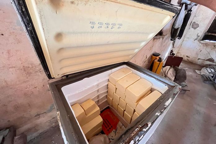 Queijaria clandestina em São José da Tapera é fechada durante ação da FPI