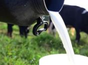 Cartão SIM fortalece produtores rurais de Arapiraca