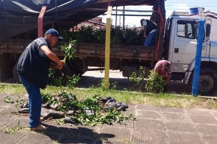 A carga foi destruída no próprio local