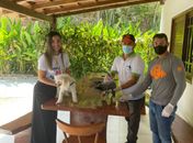 Vacinação Antirrábica inicia casa a casa em Santana do Mundaú