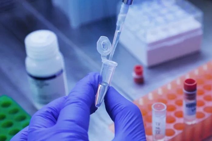 Arcturus: o que se sabe sobre a nova variante do coronavírus