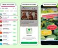 Veja como vão funcionar os anúncios e os canais com conteúdo pago no WhatsApp
