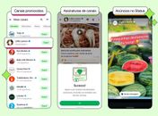 Veja como vão funcionar os anúncios e os canais com conteúdo pago no WhatsApp