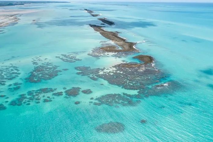 Justiça mantém suspensão de turismo em área de proteção no litoral norte de Alagoas
