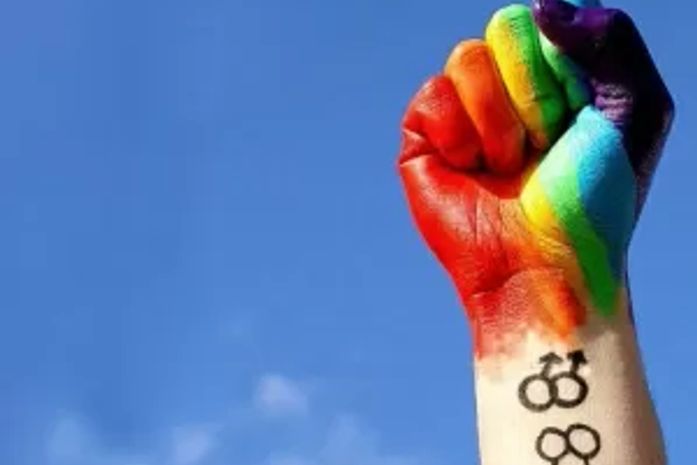 25ª Parada do Orgulho LBGT de São Paulo acontece neste domingo (6) de forma virtual