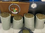 Após denúncia, suspeito abandona mais de 30 kg de drogas e foge no Sertão de Alagoas

