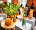Artesãos alagoanos terão mais de 100 obras representando o Brasil na Paris Design Week 2025
