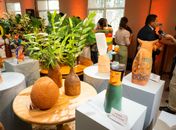 Artesãos alagoanos terão mais de 100 obras representando o Brasil na Paris Design Week 2025
