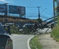 Queda de árvore bloqueia trecho da Leste-Oeste, em Maceió