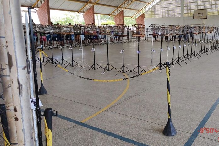Dezesseis pessoas são detidas em torneio de canto de pássaros na Barra de São Miguel  
