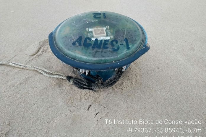 Objeto encontrado é proibido no Brasil