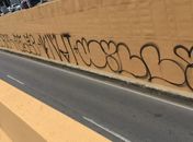 Sem dó, nem piedade, "pichadores" destroem beleza de viadutos