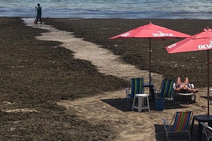 IMA notifica prefeitura para retirar sargaço da praia