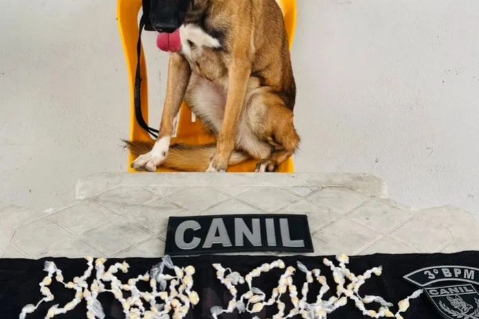 Mulher é presa com mais de 200 pedras de crack e cocaína no interior de Alagoas