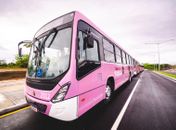 JHC lança ônibus exclusivos para mulheres e coloca Maceió como pioneira no Brasil
