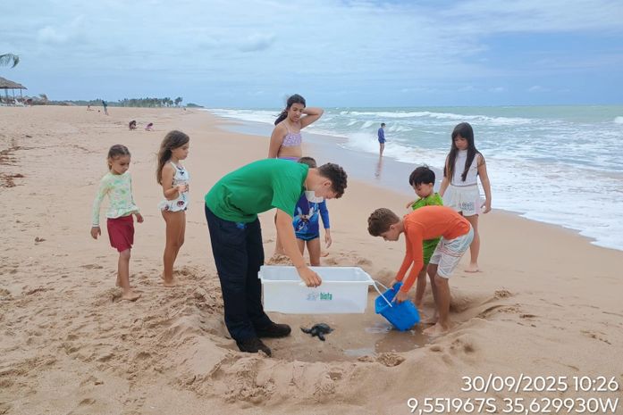 Mais um tartaruga é resgatada com nadadeira comprometida no litoral alagoano