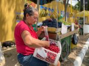 Convívio Social explica como ambulantes podem se regularizar e atuar nas áreas públicas