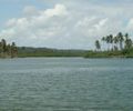 Defesa Civil orienta retirada de famílias no entorno da Lagoa Manguaba por risco de transbordamento

