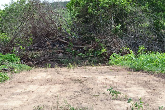 FPI do Rio São Francisco embarga 1.025 hectares de terra em Alagoas por desmatamento de vegetação nativa