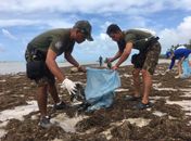 Mutirão retira lixo trazido pelo mar para praias de Porto de Pedras