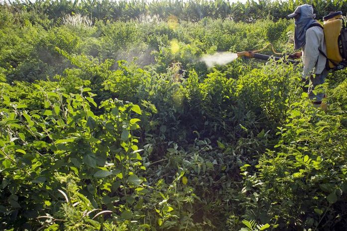 Sem acordo, votação do PL dos Agrotóxicos é adiada para terça-feira