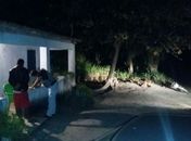 Crime aconteceu na zona rural de Porto Real de Colégio (Foto: Aquiacontece)