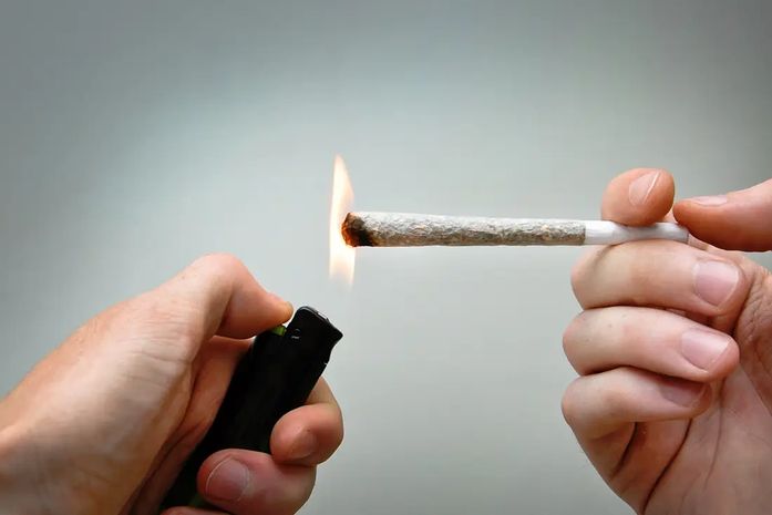 MP orienta PM a não prender usuários de maconha em flagrante e seguir decisão do STF em Alagoas