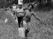 Qual a cota de água para os quilombolas,no Programa Mais Água Alagoas? Vamos celebrar novembro com água nas torneiras dos Quilombos?