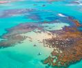 Alerta no oceano: calor extremo e turismo ameaçam barreira de corais e a proteção da orla de Maceió