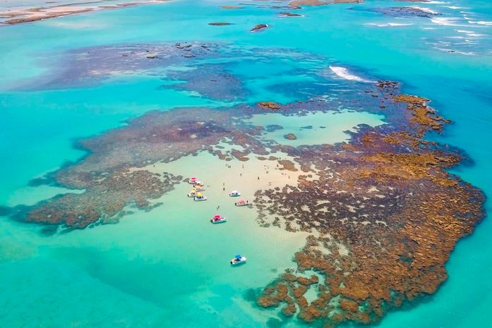 Alerta no oceano: Calor extremo e turismo ameaçam barreira de corais e a proteção da orla de Maceió