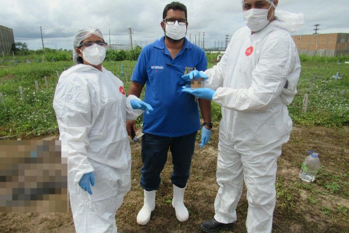 Ossada carbonizada encontrada em canavial é de jovem de 23 anos, confirma IML