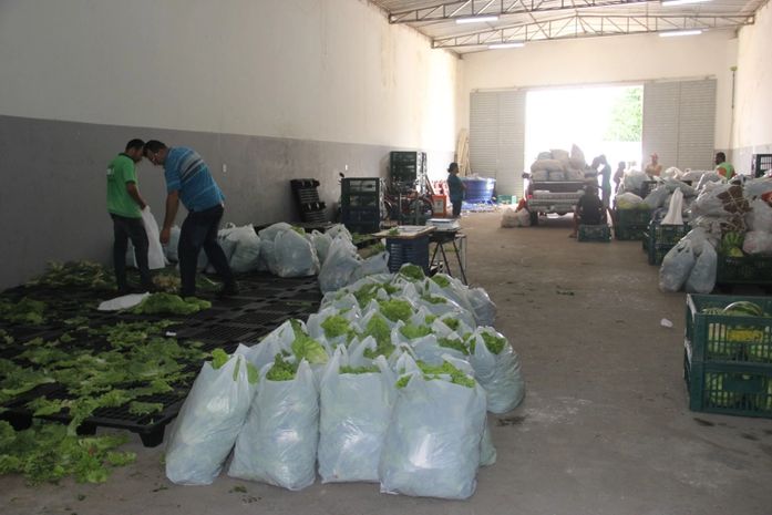 110 toneladas de alimentos adquiridas para mais uma etapa do Programa de Aquisição de alimentos