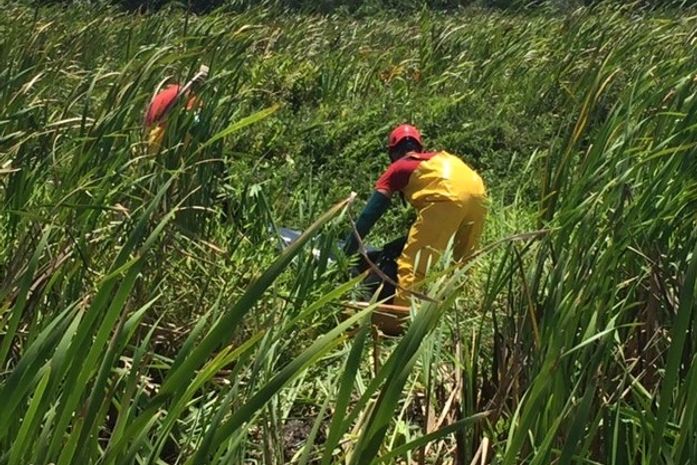 Corpo é encontrado com marcas de faca, pedras e tiros