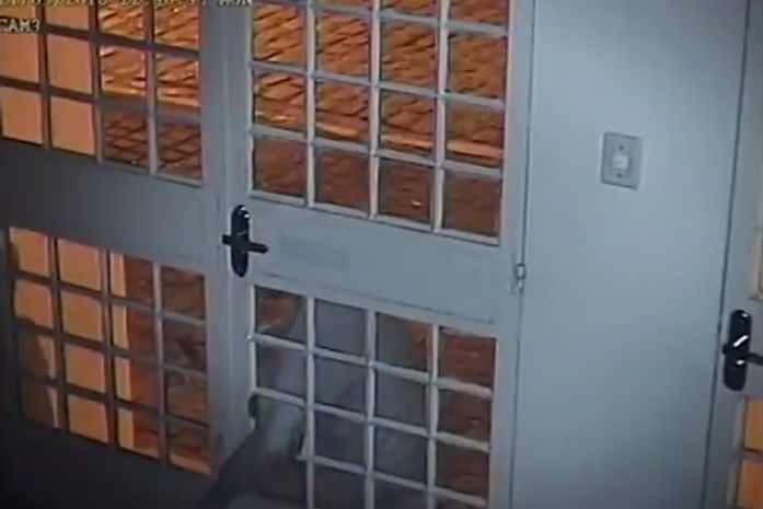PF divulga imagens de arrombamento a agência dos Correios do Jaraguá