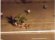 Torcedor é espancado por integrantes de torcida organizada no bairro do Jaraguá; veja vídeo