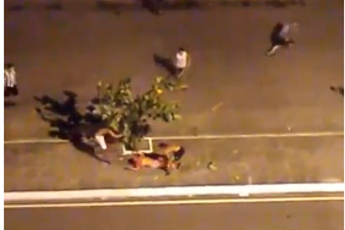 Torcedor é espancado por integrantes de torcida organizada no bairro do Jaraguá; veja vídeo