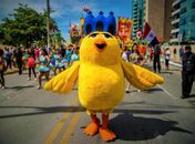 Vamos Jaraguanear: Live com Carnaval fora de época vai animar o sábado dos maceioenses