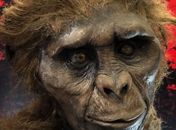 Mostra internacional traz réplicas hiper-realistas sobre evolução humana em Maceió