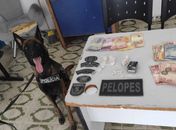 Casal é preso após cão farejar drogas em caixa de verduras no Agreste de Alagoas