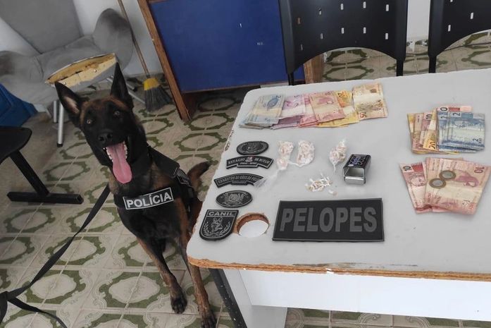 Casal é preso após cão farejar drogas em caixa de verduras no Agreste de Alagoas