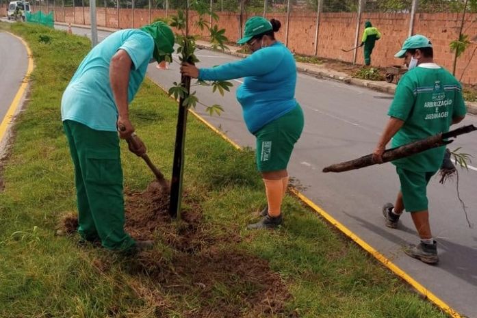 Equipe de jardinagem Sudes realizaram o plantio das mudas.