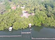 Prefeitura de Porto de Pedras acompanha caso de óbito de dois peixes-bois marinhos