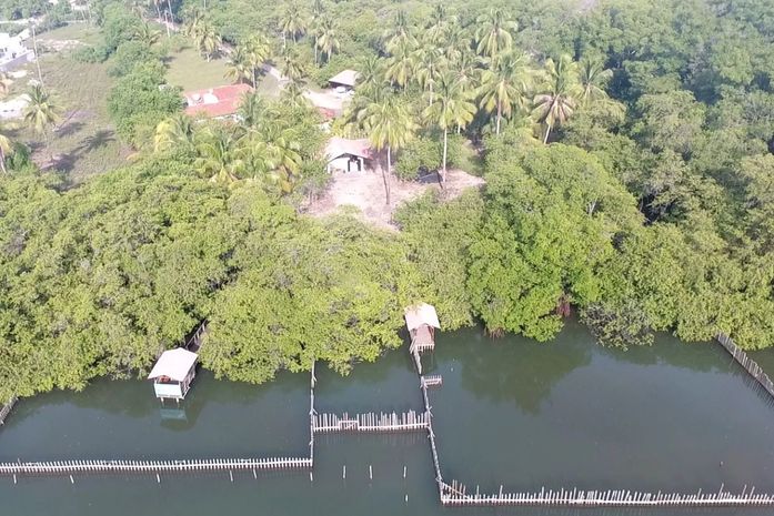 Prefeitura de Porto de Pedras acompanha caso de óbito de dois peixes-bois marinhos
