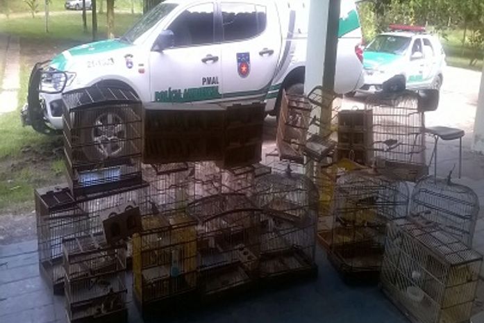 Batalhão de Polícia Ambiental resgata pássaros em feiras livres