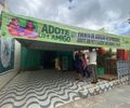 São Miguel dos Campos realizou evento de adoção animal responsável 
