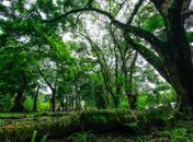 Agosto Lilás: Parque do Horto recebe ações voltadas à mulher neste sábado (21); veja como se inscrever