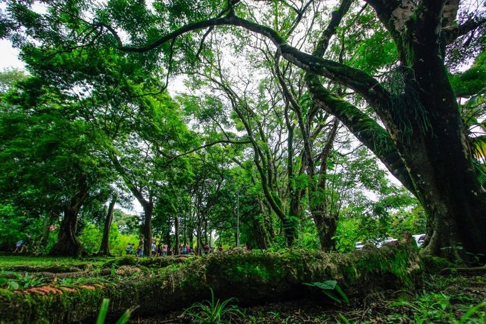 Agosto Lilás: Parque do Horto recebe ações voltadas à mulher neste sábado (21); veja como se inscrever