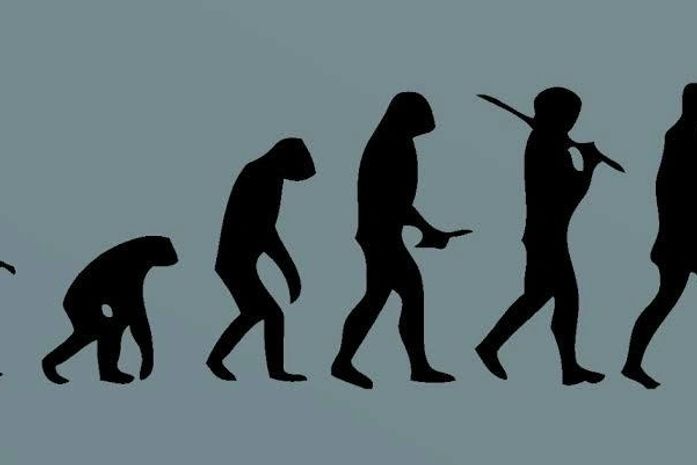 As idades do bípede implume