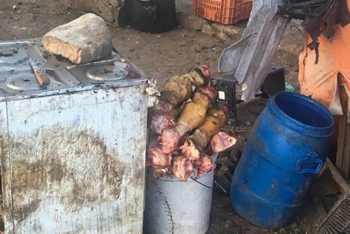 IMA e Adeal realizam operação em combate a matadouros clandestinos