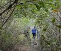 Adolescente de 15 anos é encontrado morto em mata no Vergel do Lago